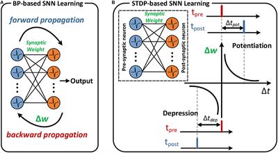 SSTDP: Supervised Spike Timing Dependent Plasticity for Efficient Spiking Neural Network Training